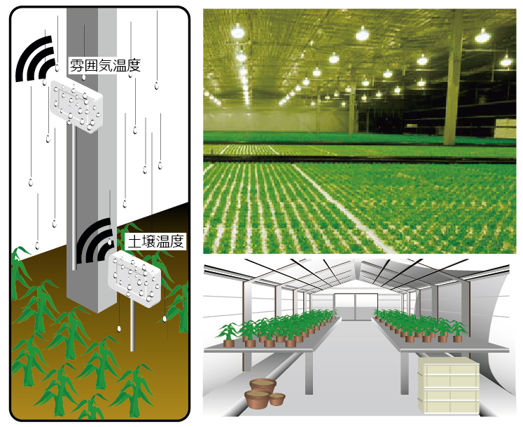 農業プラント・ビニールハウスの雰囲気温度・土壌温度管理